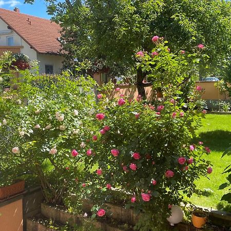 Ferienwohnung Am Eck Rust Luaran gambar