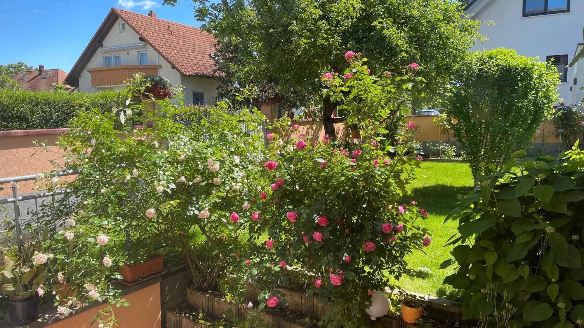 Ferienwohnung Am Eck Rust Luaran gambar
